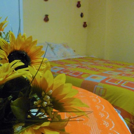 Bioswild Hotel Cuzco Kültér fotó